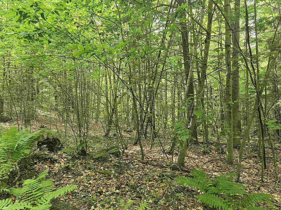1st image of TBD Farrar Road