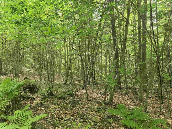 TBD Farrar Road, Chester, VT 05143