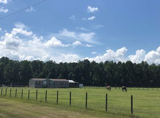 3570 134th Pl, Wellborn, FL 32094