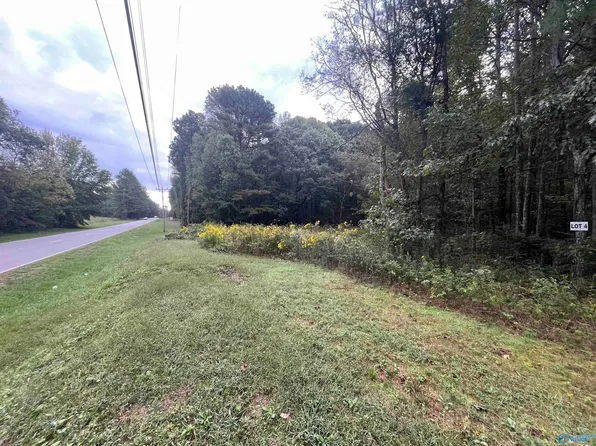 517 Austinville Flint Rd SW, Decatur, AL 35603