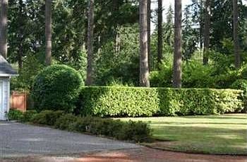 2nd image of 12415 Avenue Dubois SW