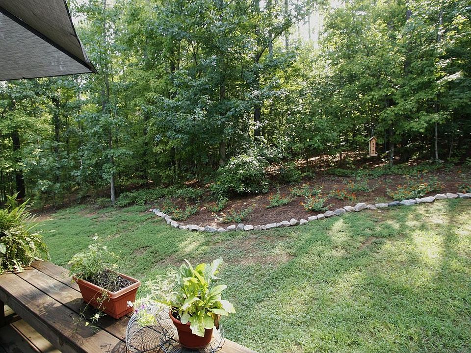 Back Yard View