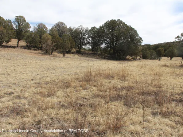 375&376 Santiago Cir, Alto, NM 88312