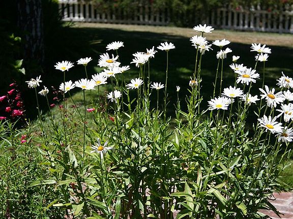 Gorgeous English Gardens