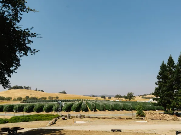 (undisclosed Address), Valley Springs, CA 95252