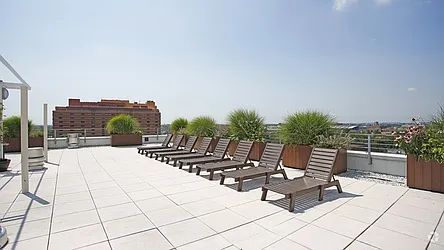 Rented by MODA Upgraded Living