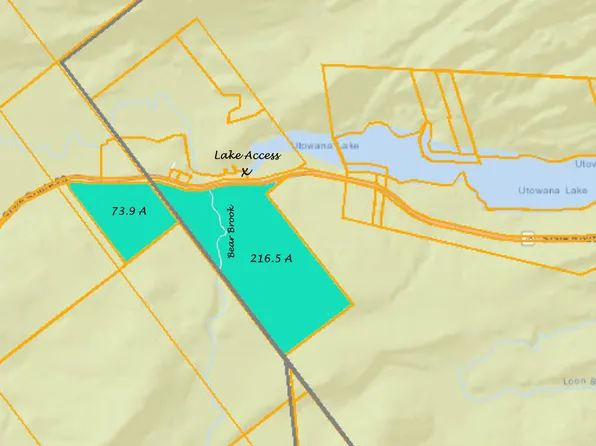 134 Carry Ln, Blue Mountain Lake, NY 12812