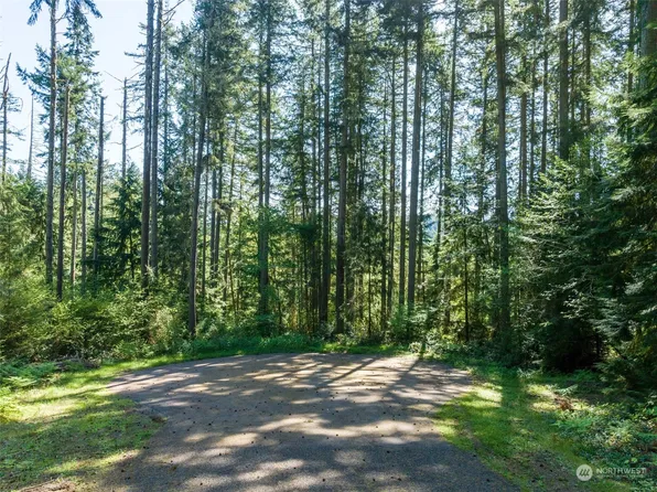 12716 99th Street Ct, Anderson Island, WA 98303