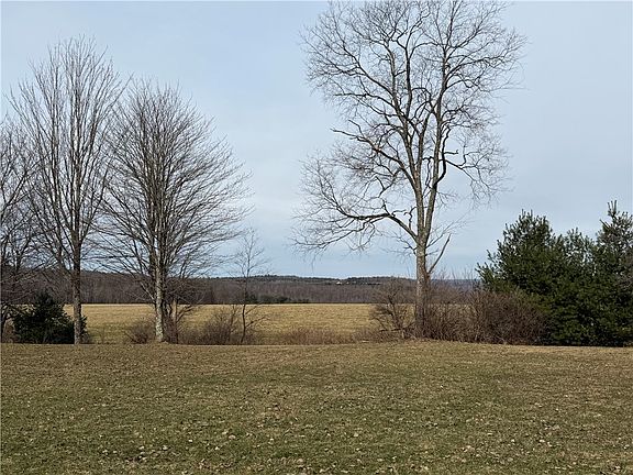 5th image of 233 Kilroy Rd