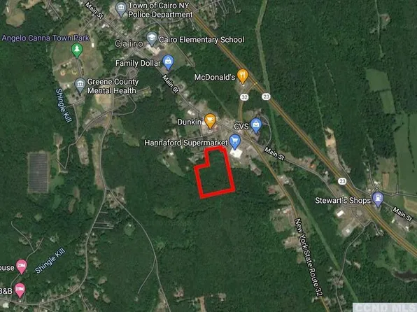 53 Cedar Street, Cairo, NY 12413