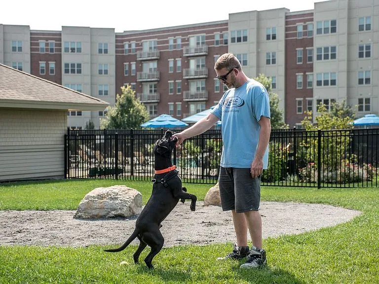 Dog Park
