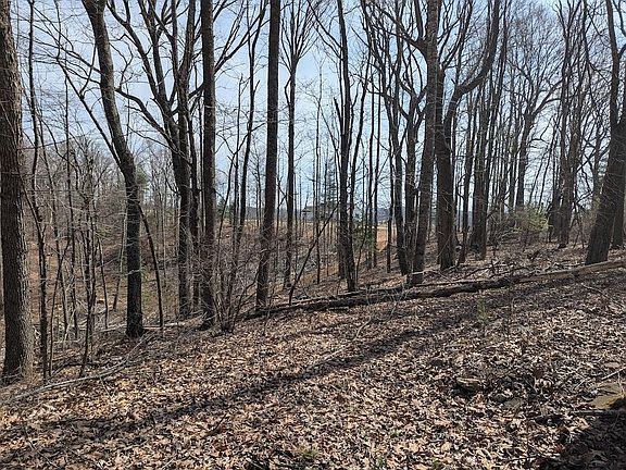 5th image of 1704 Coles Knob Rd NE