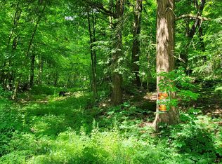 1161 State Route 1001, Thompson, PA 18465