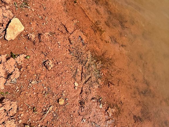 5th image of 81 County Road 154 Rd