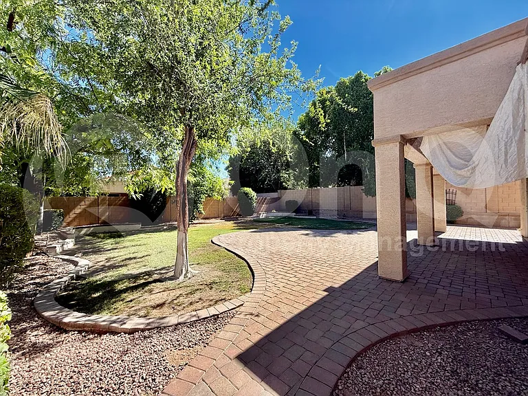 826 W Carob Dr — Photo 5