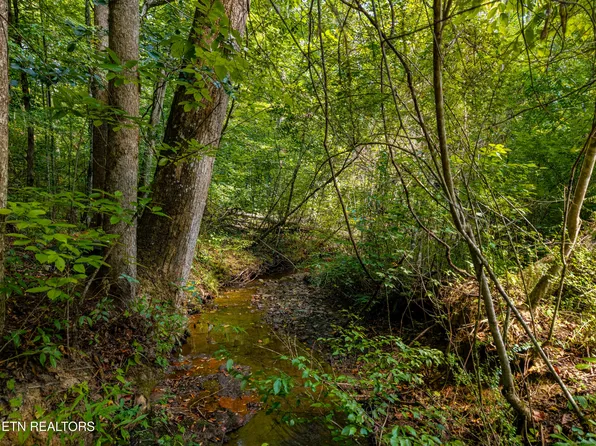 407 Chetola Trl, Townsend, TN 37882