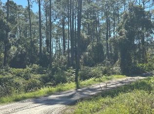 11th Ave Lot 1, Deland, FL 32724