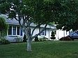 1st image of 44 Sowams Dr