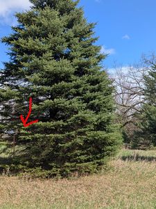 1003 Kent St, Lake Isabella, MI, 48893