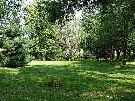 View of .75 Acre Yard