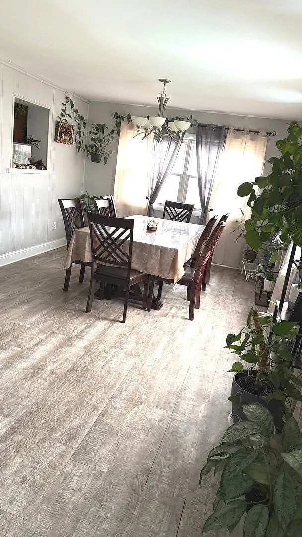 3 bed, 1.5 bath, 1575 sqft, $3,000 — Photo 2