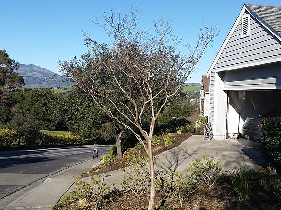 2nd image of 1827 Ridgeland Cir