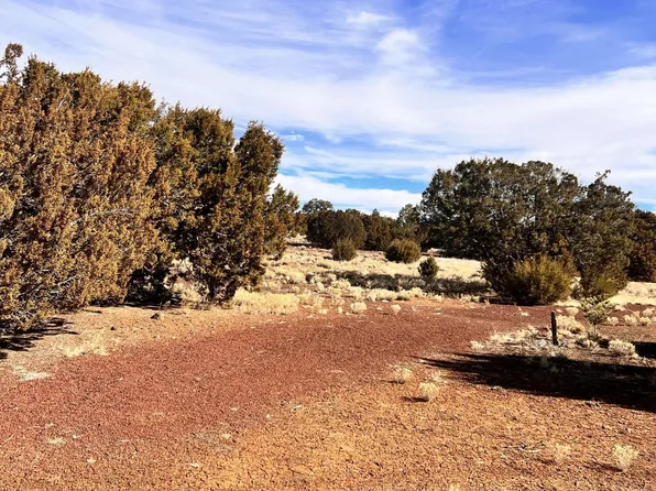 145 Cedar Rd, Concho, AZ 85924