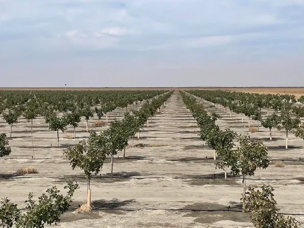 W Ave 24 Avenue W, Allensworth, CA 93219