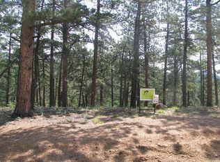 138 Smith St, Bailey, CO 80421