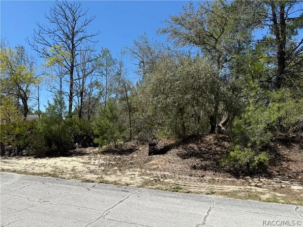 10762 N Moreno Dr, Citrus Springs, FL 34433