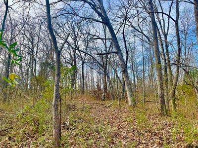627 E Green St, Lewisburg, KY, 42256