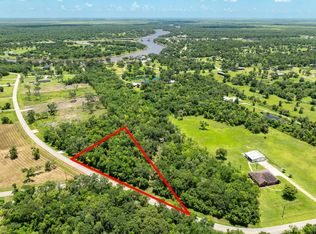 LOT 1 County Road 819, Brazoria, TX 77422