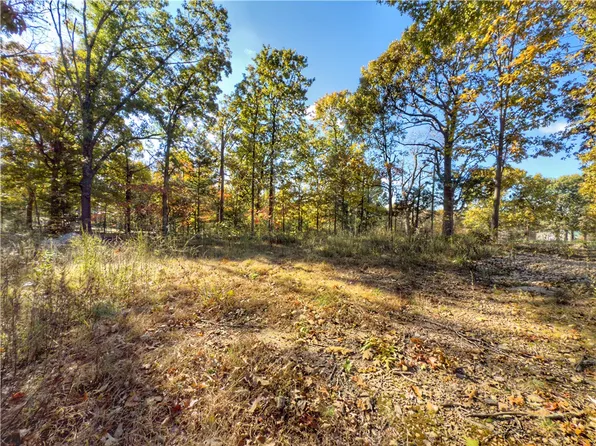 LOT 10 Dogwood Ct, Harrison, AR 72601