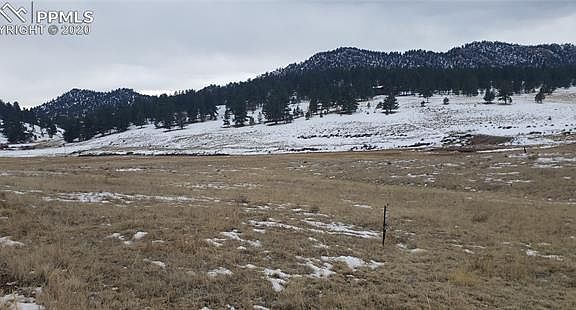 3rd image of 306 Deer Lodge Ln