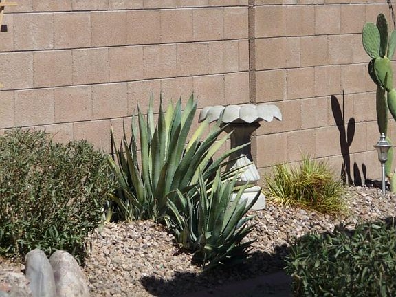 5th image of 43410 W Sunland Dr