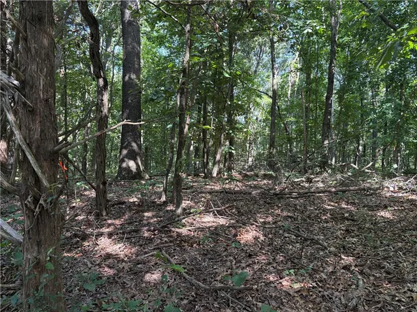 Arabian Dr #184, Rogers, AR 72756