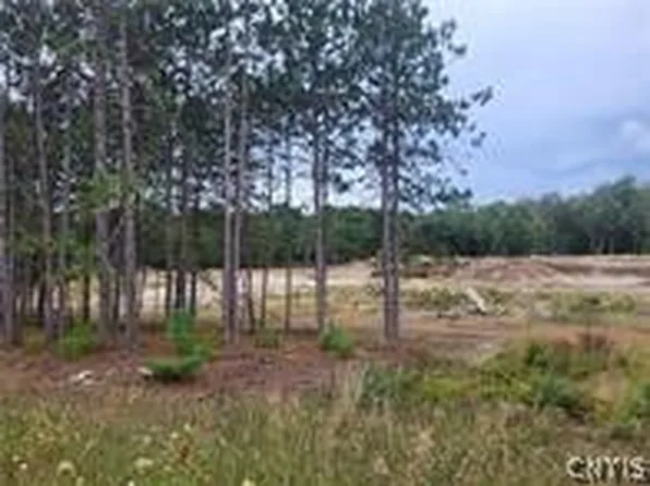 2321 Nys Rte Lot 3-35, Fine, NY 13639