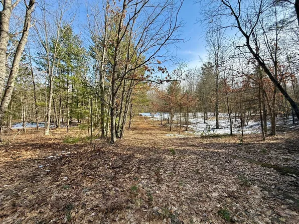 Vl N Merrillville Rd, Baldwin, MI 49304