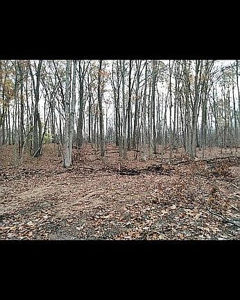 2nd image of 0 136th Ave