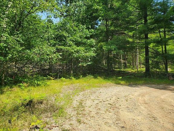 2nd image of 0 Turtle Lake Rd