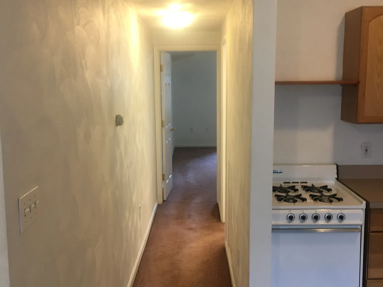 1 bed, 600 sqft, $875 — Photo 3