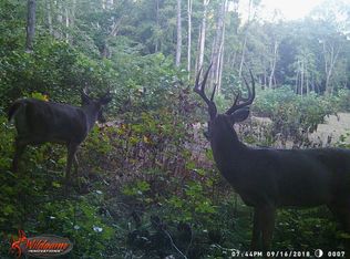 11961 Catt Rd LOT WP001, Coal City, IN 47427