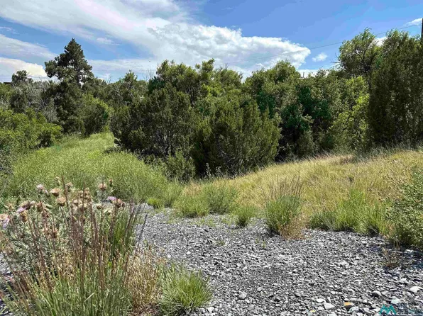 Camp Luna Area Rd, Las Vegas, NM 87701