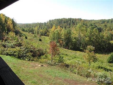 It is a lovely mix of pasture and woods!