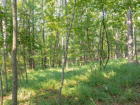 5th image of 1010 Wrayswood Cir #24