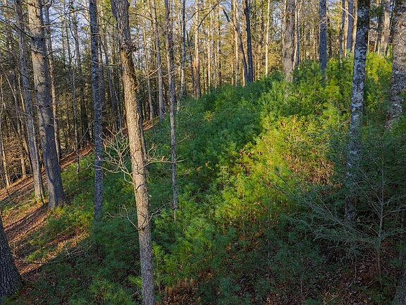 5th image of 56 River Bend Trl
