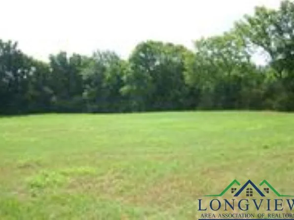 N Us Highway 259, Mount Enterprise, TX 75681