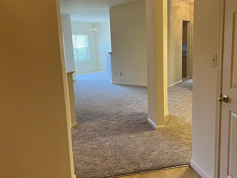 439 Hopkins Landing Dr — Photo 15