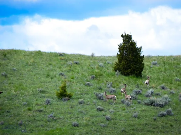 Nhn Patterson Rd, Butte, MT 59701
