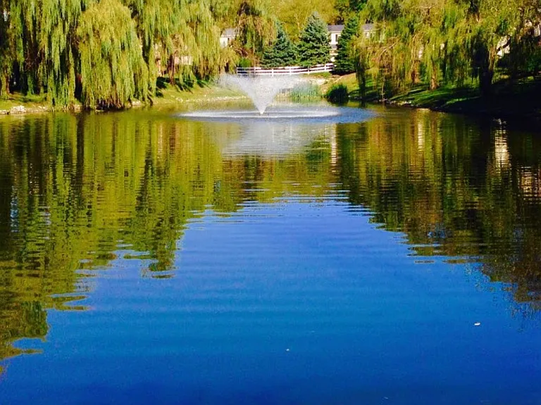 Shared Pond
Fishing / Catch and release